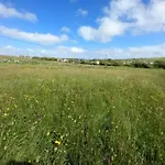 Wild Meadow Huts * دولين
