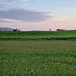 Wild Meadow Huts * Doolin