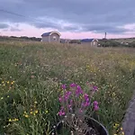 Wild Meadow Huts