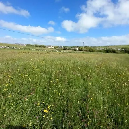 Wild Meadow Huts * Doolin