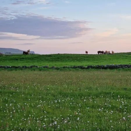 Wild Meadow Huts * Doolin