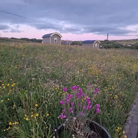 Wild Meadow Huts