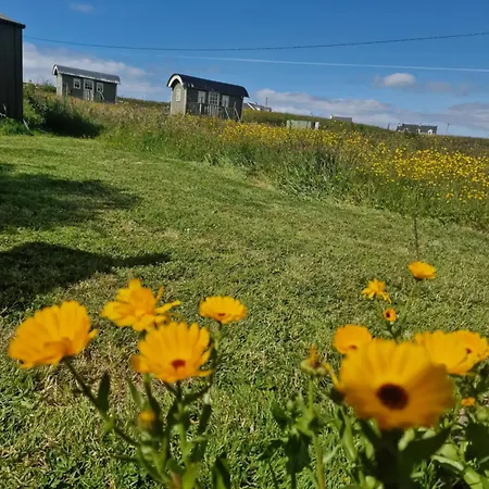 Дом отдыха Wild Meadow Huts *