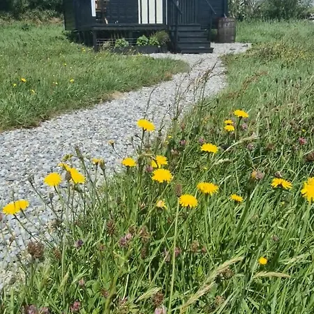 Wild Meadow Huts Doolin