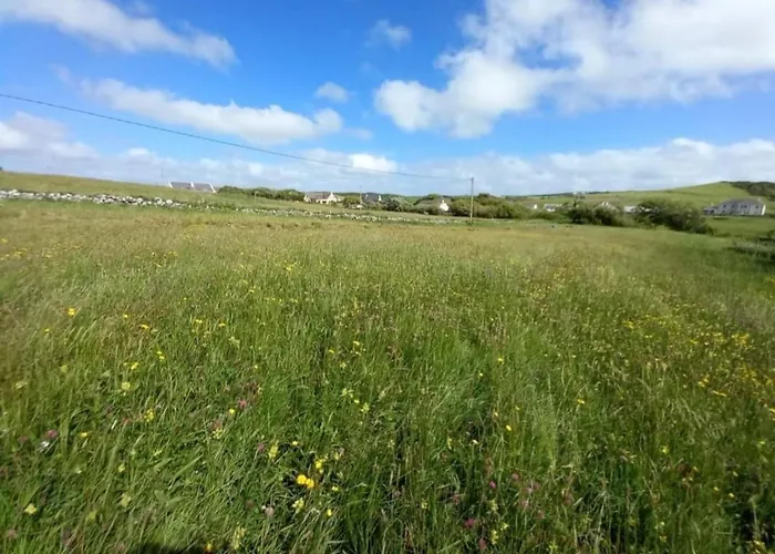 Wild Meadow Huts * Doolin