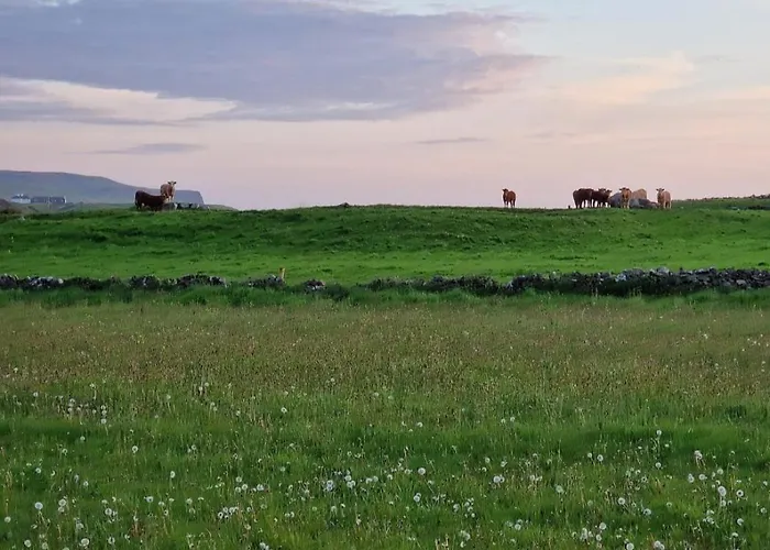 Wild Meadow Huts * Doolin