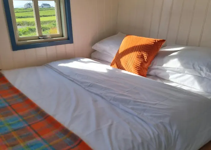 Hébergement de vacances Wild Meadow Huts Doolin