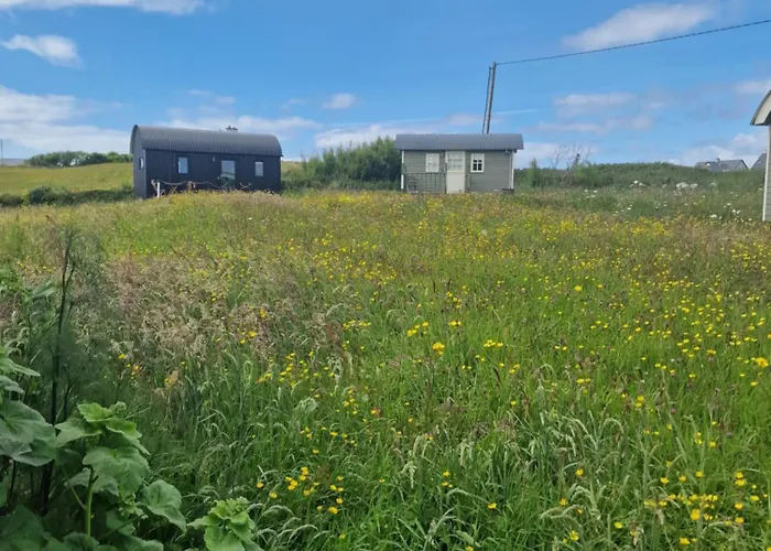 Wild Meadow Huts Semesterbostad *