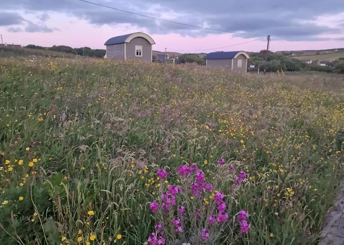 Wild Meadow Huts