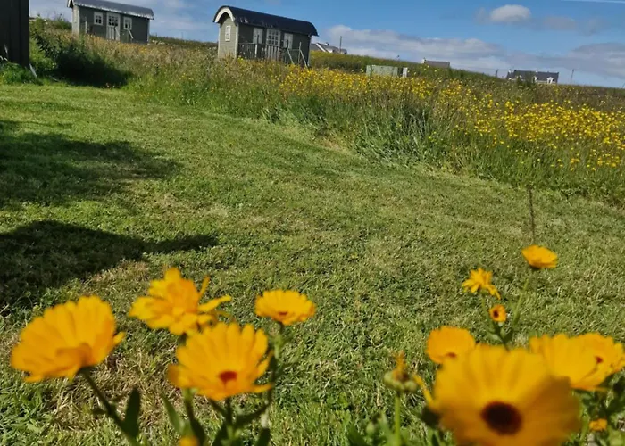 Hébergement de vacances Wild Meadow Huts *