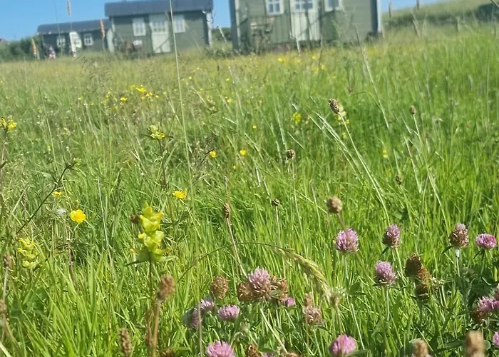 Wild Meadow Huts Semesterbostad *